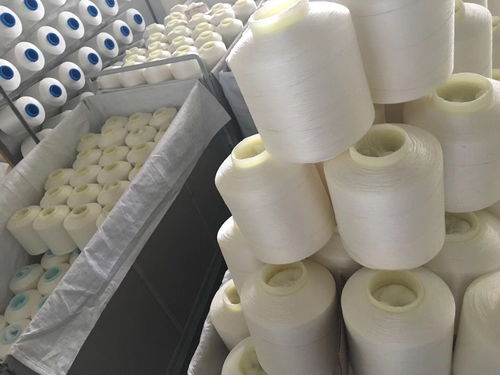 长翼纺机及纺织制品亮相上海纺机展